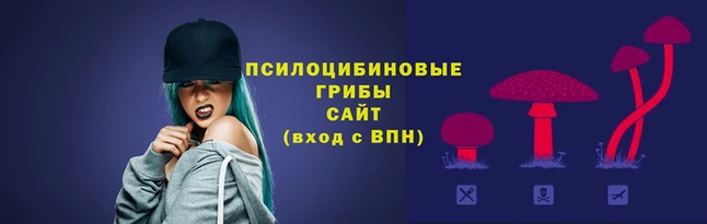 амфетамин Алзамай