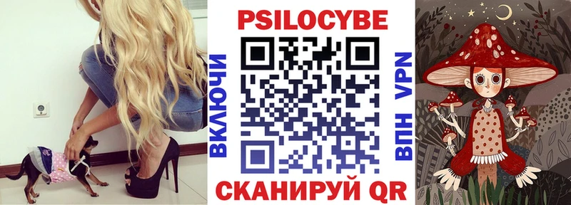 Галлюциногенные грибы Psilocybine cubensis Обоянь